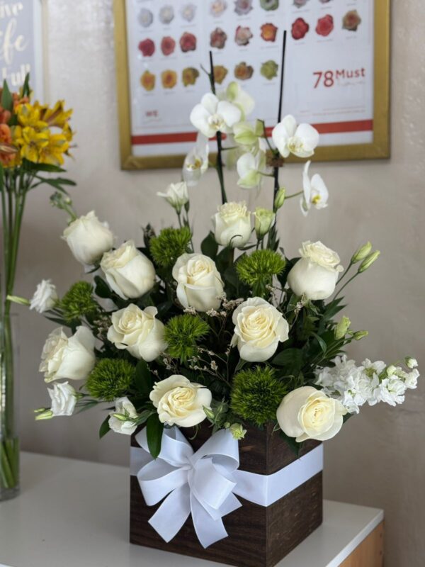 Orquídea Paz