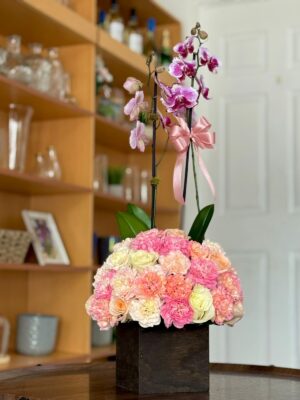 Coralito