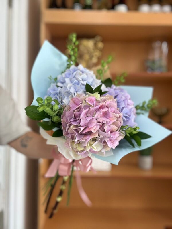Luz de Hortensias - Imagen 2