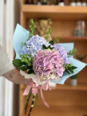 Luz de Hortensias
